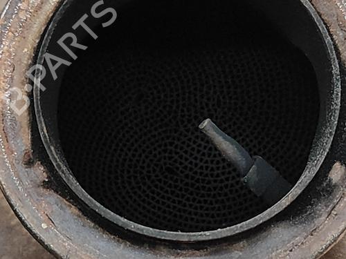 Catalyst VW PASSAT B8 (3G2, CB2) 1.6 TDI | BP32061691M10 