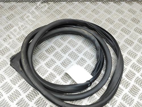 Rubber door seal HONDA CIVIC IX (FK) 2.2 i-DTEC (FK3) | BP29616045C142 