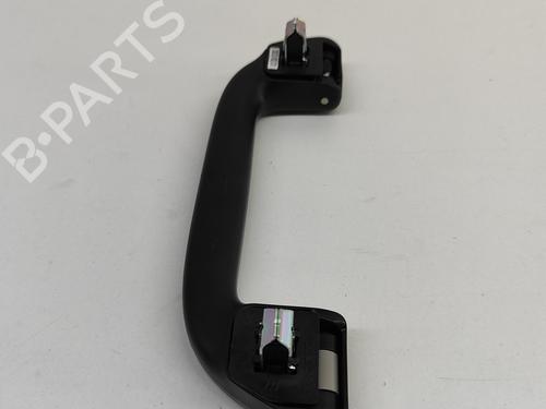 Håndtag i tag HONDA CIVIC X Hatchback (FC_, FK_) 2.0 Type-R (FK8) | BP20981955I35