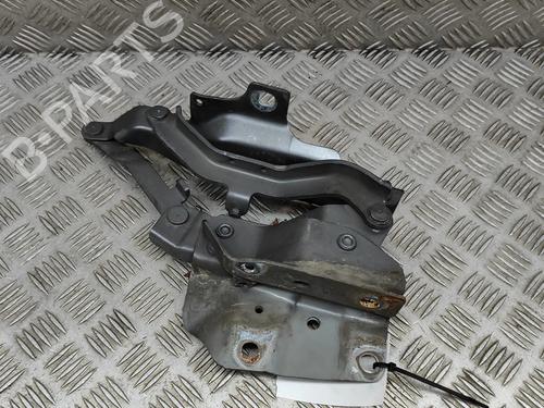 Hinge/Door check strap LAND ROVER DISCOVERY V (L462) 3.0 D 4x4 | BP16536894C146