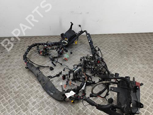 Wiring harness JAGUAR XF SPORTBRAKE (X260) 2.0 | BP20982039E16 