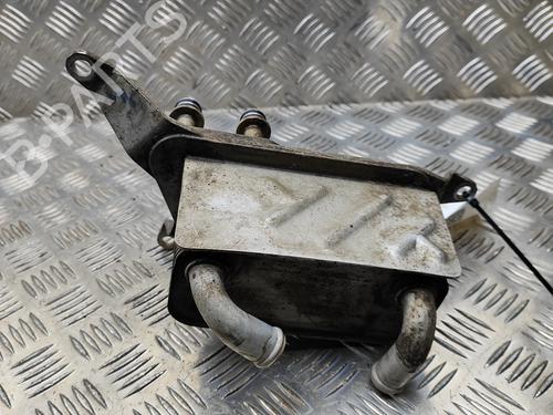 Used Oil radiator FORD RANGER (TKE) 2.0 EcoBlue 4x4 (213 hp) 29975724