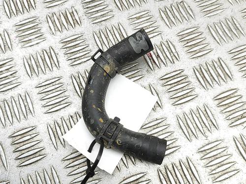 Pipe MG MG 4 (EH32) EV | BP33384856M125  - Image 5