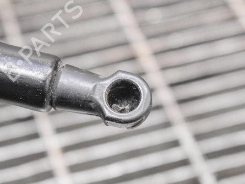 Hood lift support LAND ROVER DISCOVERY IV (L319) 3.0 TD 4x4 | BP14609234C139 