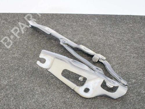 Hinge/Door check strap BMW 3 (E90) 318 i | BP14607589C146 