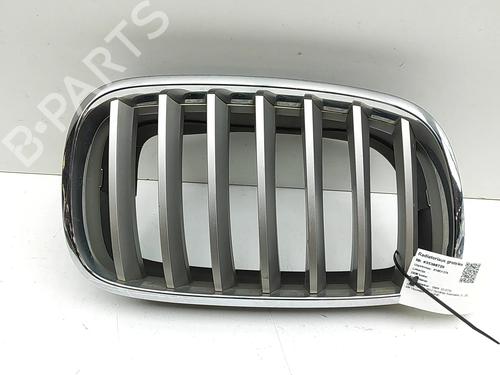 Grill Grill BMW X5 (E70) xDrive 40 d (306 hp) 34218337 34218337