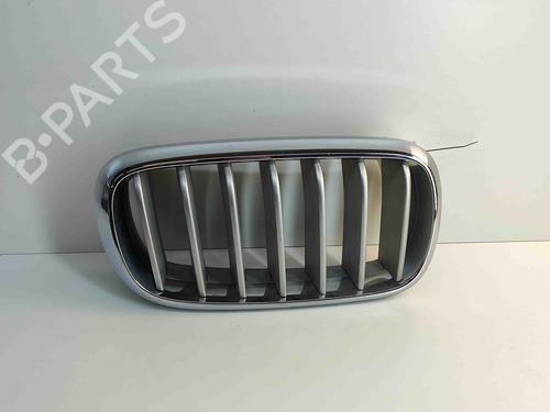 Gitter für BMW X5 (F15, F85) xDrive 40e (313 hp) 23416079