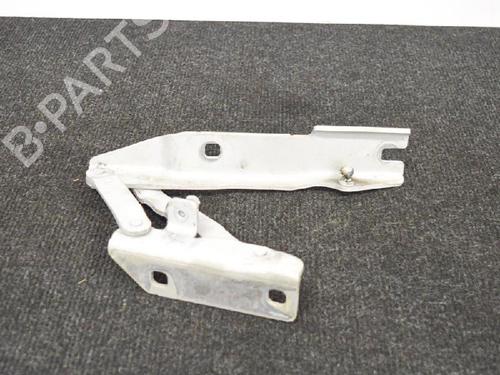 Hinge/Door check strap BMW 5 (E60) 520 d | BP14665842C146 