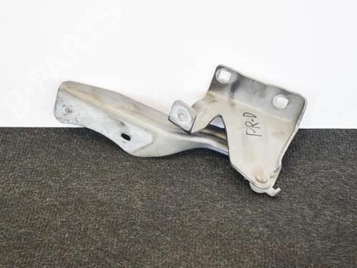 Used Hinge/Door check strap NISSAN QASHQAI II SUV (J11, J11_) 1.5 dCi (110 hp) 14666936