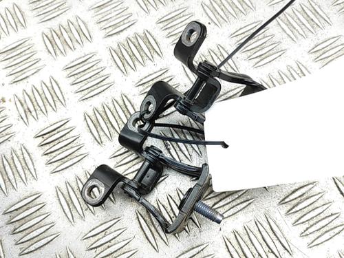 Hinge/Door check strap CUPRA BORN (K11) 58 e-boost | BP40460366C146 - Image 5