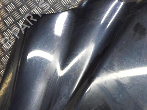 Hood JAGUAR S-TYPE II (X200) 2.7 D | BP9296247C1 