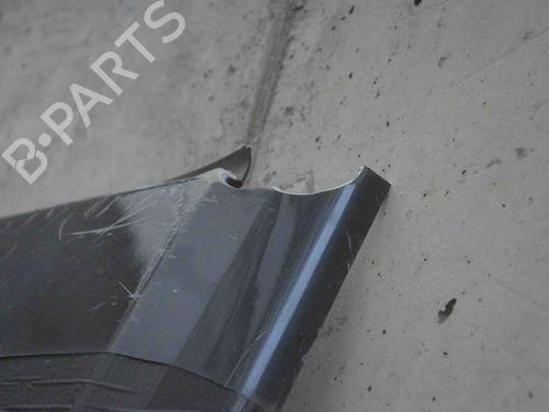 Tailgate DODGE RAM 1500 Pickup (DJ, DS) 5.7 4x4 | BP30247905C6 