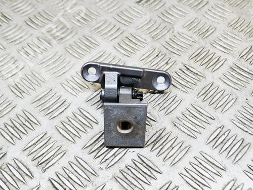 Hinge/Door check strap BMW 5 (F10) 535 d | BP14636574C146