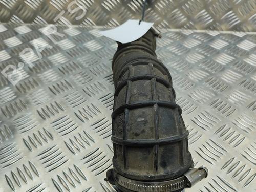 Pipe VW TRANSPORTER T6 Van (SGA, SGH, SHA, SHH) 2.0 TDI | BP29920498M125 