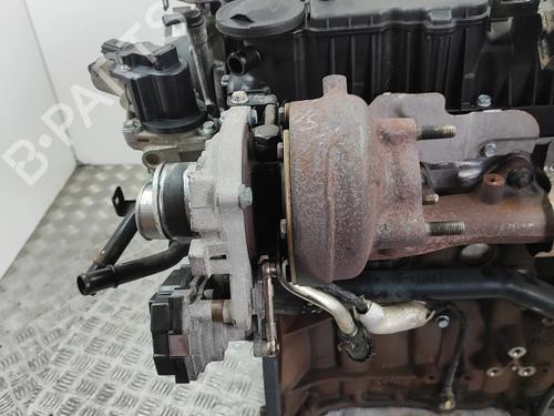 Engine HYUNDAI ix35 (LM, EL, ELH) 2.0 CRDi | BP33176541M1  - Image 6
