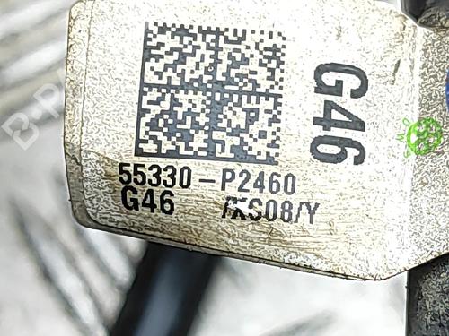 Støddæmperfjeder KIA SORENTO IV (MQ4, MQ4A) 2.2 CRDi AWD | BP31047235C152