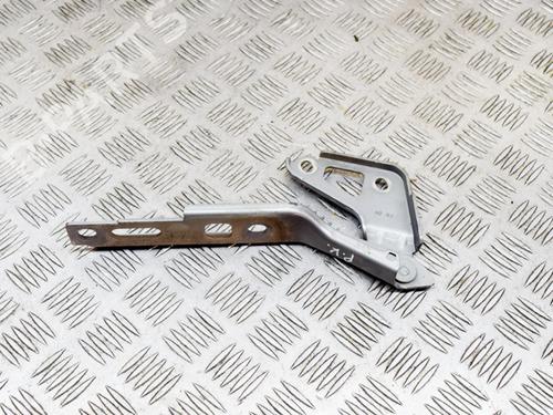 Hinge/Door check strap AUDI Q7 (4LB) 4.2 FSI quattro | BP14634367C146 