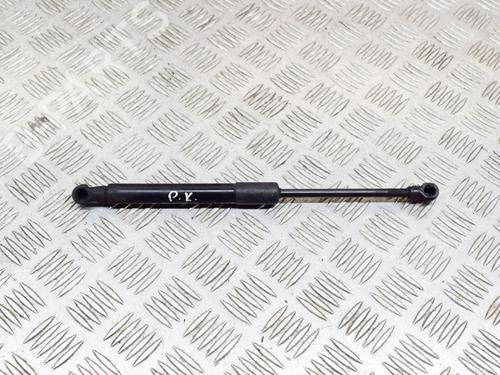 Used Hood lift support AUDI Q5 (8RB) 2.0 TDI quattro (170 hp) 14630559