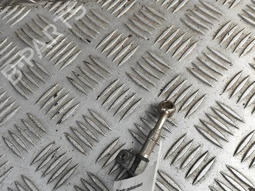 Other TRIUMPH MOTORCYCLES THRUXTON Thruxton 900 (986ME2) | BP33371959O1 - Image 5