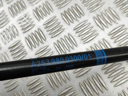 Tailgate lift support MERCEDES-BENZ GLC (X253) 300 d 4-matic (253.919) | BP29731138C138 