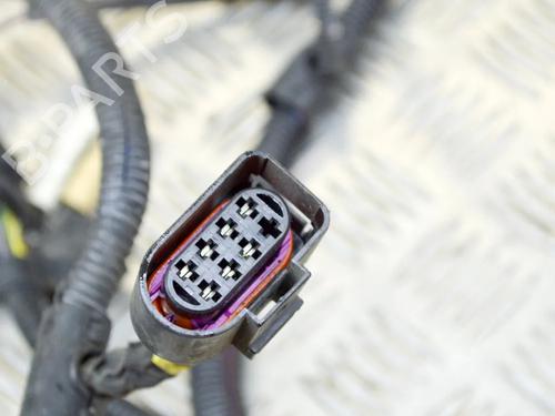 Wiring harness PORSCHE PANAMERA (970) 3.0 D | BP14622892E16