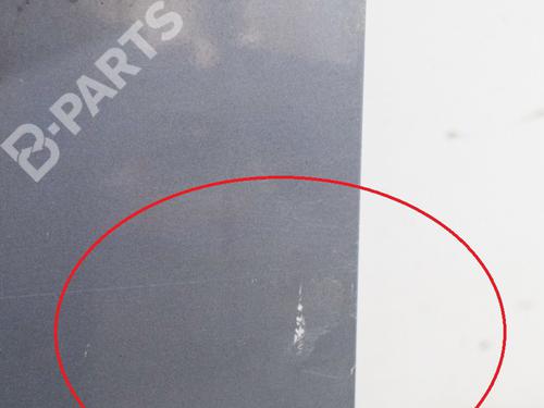 Left front door RENAULT KOLEOS I (HY_) 2.0 dCi 4x4 (HY0K) | BP9165767C2 