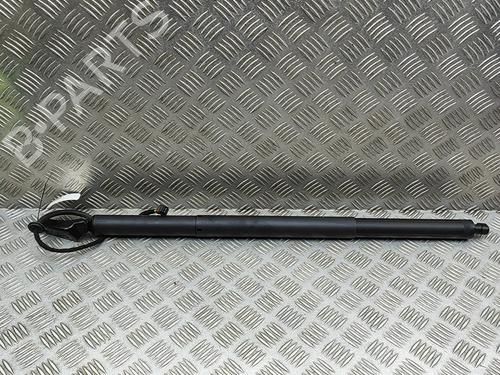 Gasdæmper bagklap PORSCHE CAYENNE Coupe (9YB) 4.0 S AWD (9YBBJ1) (475 hp) 29594064