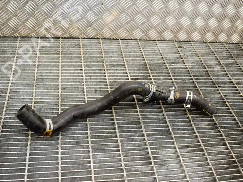 Used Pipe Pipe TOYOTA C-HR (_X1_) 1.8 Hybrid (ZYX10_, ZYX11_) (98 hp) 14664533 14664533