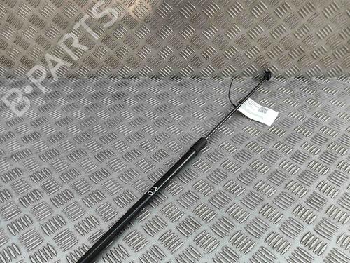Hood lift support AUDI A3 Sportback (8VA, 8VF) RS3 quattro | BP29404107C139 