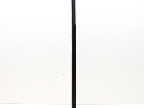 Door moulding trim MERCEDES-BENZ C-CLASS (W205) C 200 BlueTEC / d (205.037) | BP14630668C150 