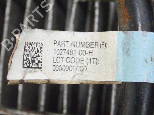 Anti roll bar TESLA MODEL X (5YJX) P100D AWD | BP14608610M96 