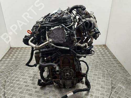 Engine VW CADDY III MPV (2KB, 2KJ, 2CB, 2CJ) 2.0 TDI | BP23250001M1 - Image 2