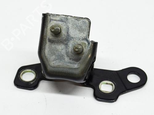 Used Hinge/Door check strap RENAULT ZOE (BFM_) ZOE (92 hp) 14628125