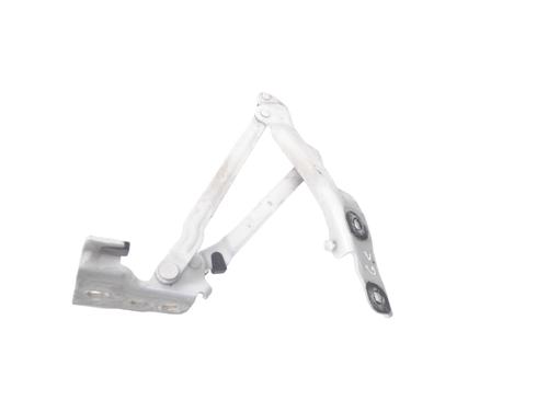 Hinge/Door check strap VW BEETLE Convertible (5C7, 5C8) 1.4 TSI | BP30245928C146