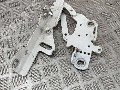 Hinge/Door check strap BMW 3 Touring (F31) 335 d xDrive | BP26239879C146