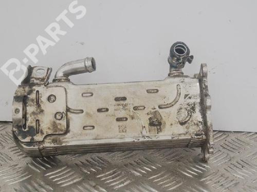 Egr MERCEDES-BENZ SPRINTER 3-t Van (B906) 213 CDI (906.611, 906.613) | BP8895495M69