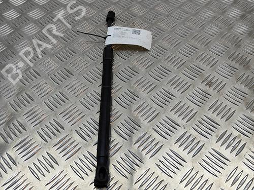 Hood lift support BMW 7 (G11, G12) 730 d, Ld | BP19501019C139 