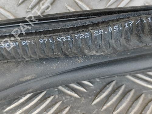 Rubber door seal PORSCHE PANAMERA (971) 2.9 4 E-Hybrid (97ABE1, 97BBE1) | BP26884739C142 