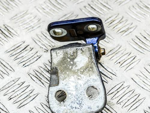 Hinge/Door check strap LAND ROVER DISCOVERY IV (L319) 3.0 4x4 | BP14632339C146 