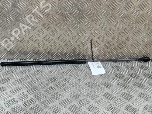 Used Hood lift support MERCEDES-BENZ EQV (W447) EQV 250 (447.813, 447.815) (204 hp) 27772443