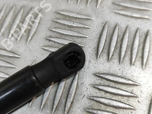 Tailgate lift support VW T-ROC (A11, D11) 2.0 TSI 4motion | BP28559389C138 