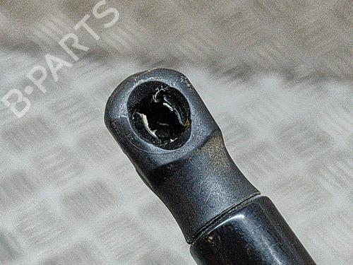Hood lift support VW GOLF VII (5G1, BQ1, BE1, BE2) e-Golf | BP19284117C139 