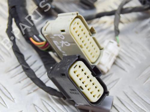 Ledningsnet TESLA MODEL S (5YJS) P85 | BP14617990E16 