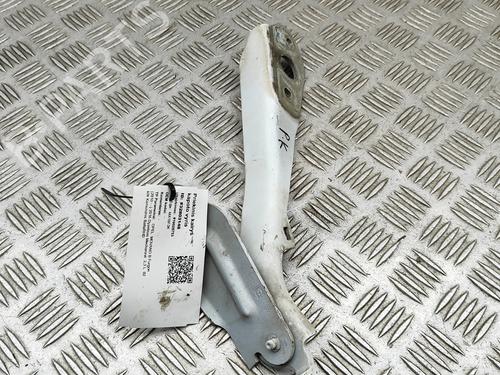 Hinge/Door check strap OPEL MOVANO B Van (X62) 2.3 CDTI FWD (FV) | BP29920281C146