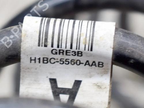 Shock absorber spring FORD FIESTA VII (HJ, HF) 1.1 Ti-VCT | BP14654301C152 