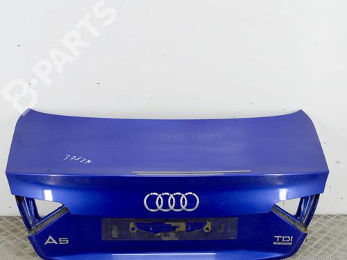 Used Tailgate Tailgate AUDI A5 (8T3) 3.0 TDI quattro (245 hp) 10914876 10914876