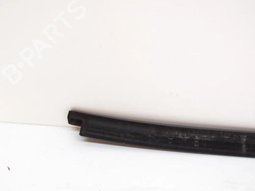 Door moulding trim BMW X3 (G01, F97, G08) xDrive 20 d | BP14615327C150