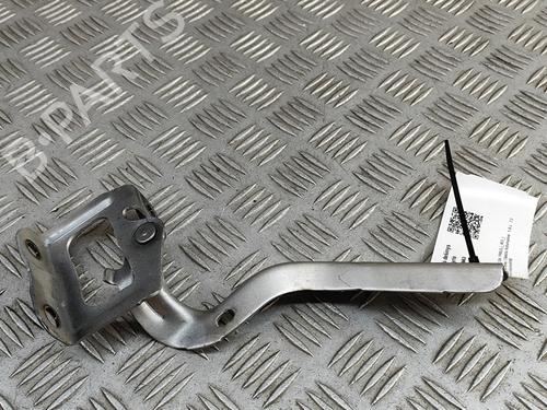 Hinge/Door check strap TOYOTA PRIUS (_W3_) 1.8 Hybrid (ZVW3_) | BP28811903C146 
