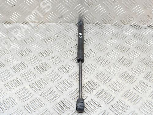 Hood lift support AUDI A6 C7 (4G2, 4GC) 2.0 TDI | BP14631402C139 