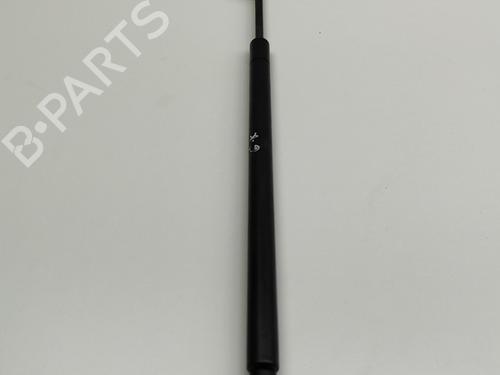 Tailgate lift support JEEP WRANGLER III (JK) 3.6 V6 | BP26003438C138 